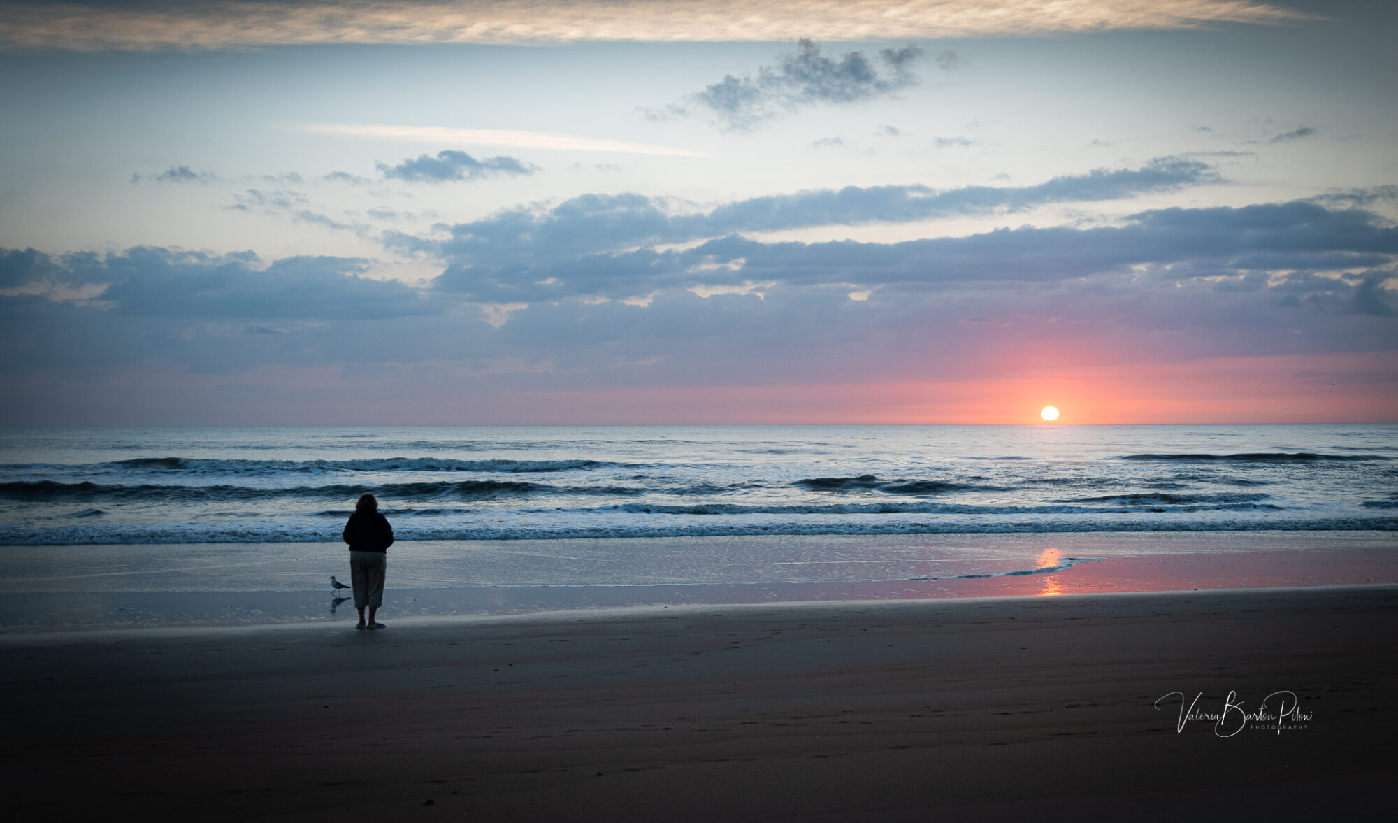 Morning beach scene showing an onlooker and a seagull watching the sunrise.